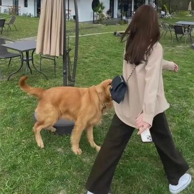 牵线